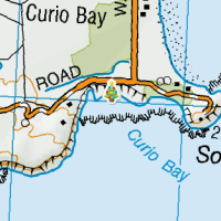 Fossil Forest at Curio Bay