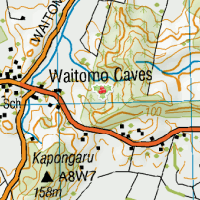 Waitomo Caves